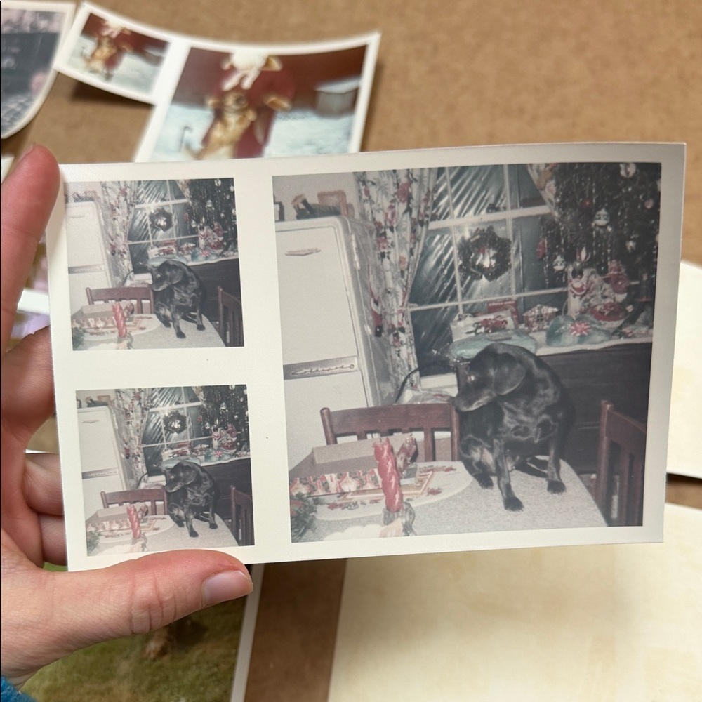 Vintage Photo Collection - Picture 4 of 11